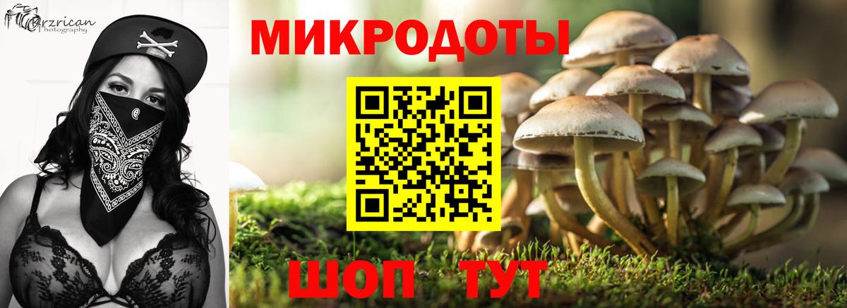 Псилоцибиновые грибы Magic Shrooms Россошь